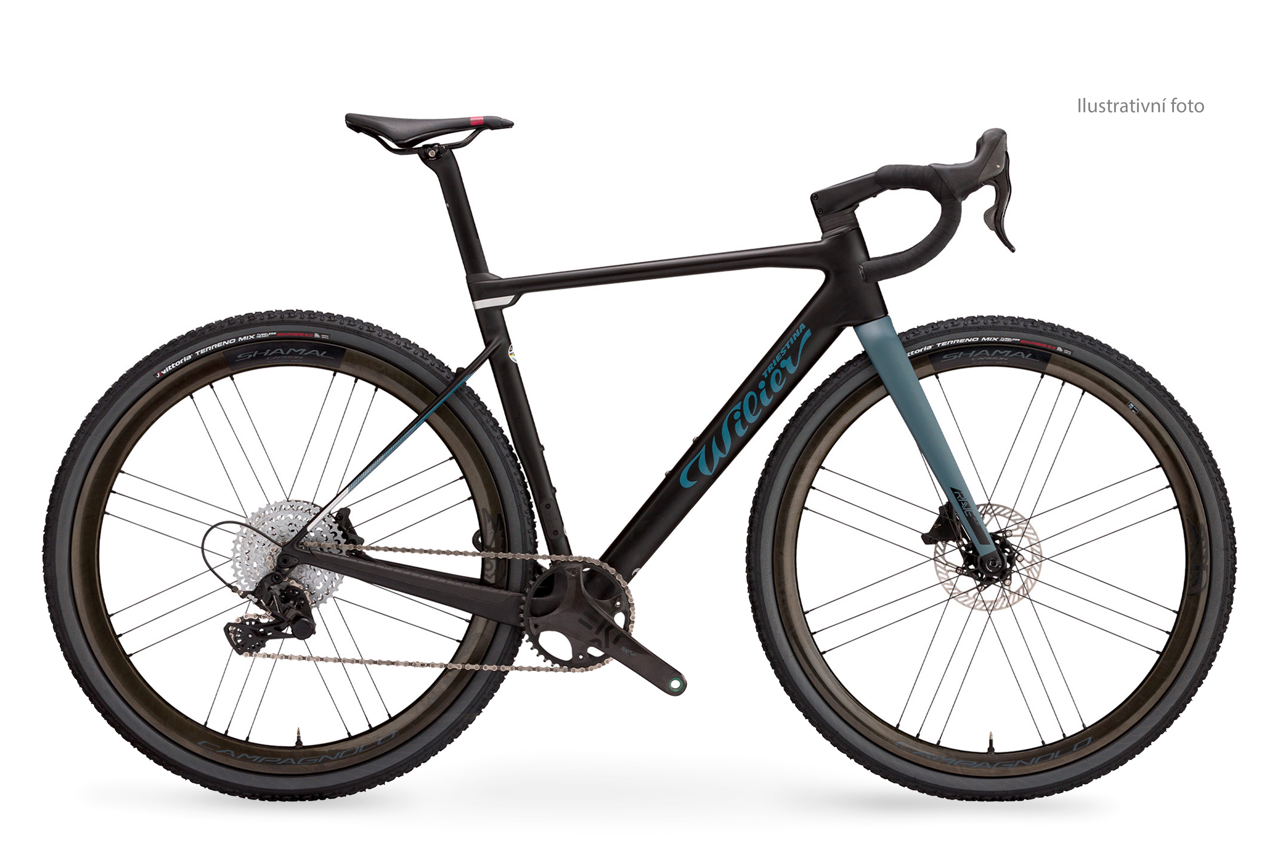 Wilier RAVE SLR Disc + EKAR + SLR36 black grey L