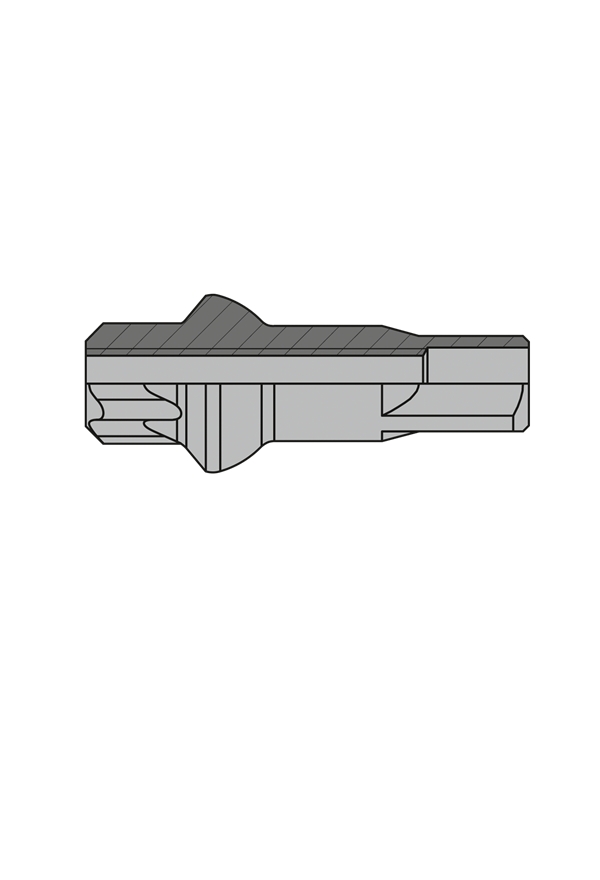 Nipl DT Swiss Squorx Pro Lock AL, Silver