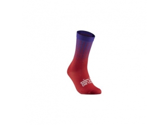 CICLOVATION ponožky Synergy Violet L/XL