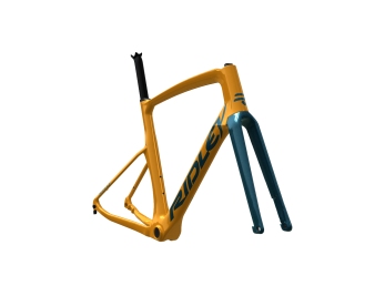 Ridley Kanzo Fast GRX800 1x11 M custom