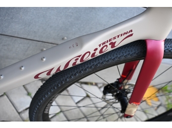 Wilier RAVE ID2 SRAM RIVAL XPLR AXS E1 1x13S 	MICHE GRAFF XL Byte Cream