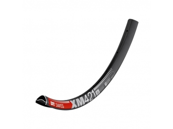 Ráfek DT Swiss XM 421 DISC 32H 29"