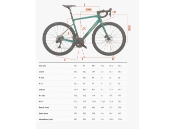 Wilier GARDA Shimano 105 +Miche Reflex DX green gold S